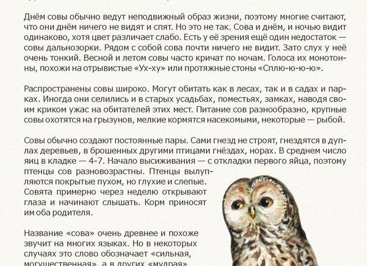 3 пары разных, но похожих слов: хватит путать их значения
