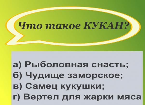 Вы настоящий знаток русского языка, если сможете пройти этот тест на 11\12. Получится ответить верно? Проверьте свою грамотность